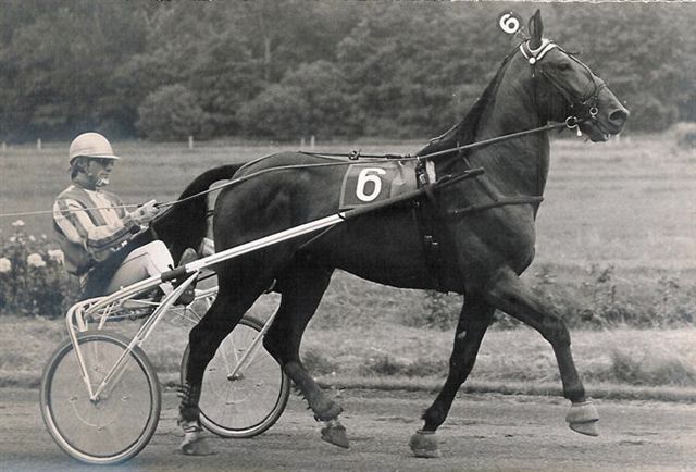 eigenaar